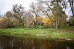 32-WartaCzarter_Foto Najt_Oborniki-Poznań